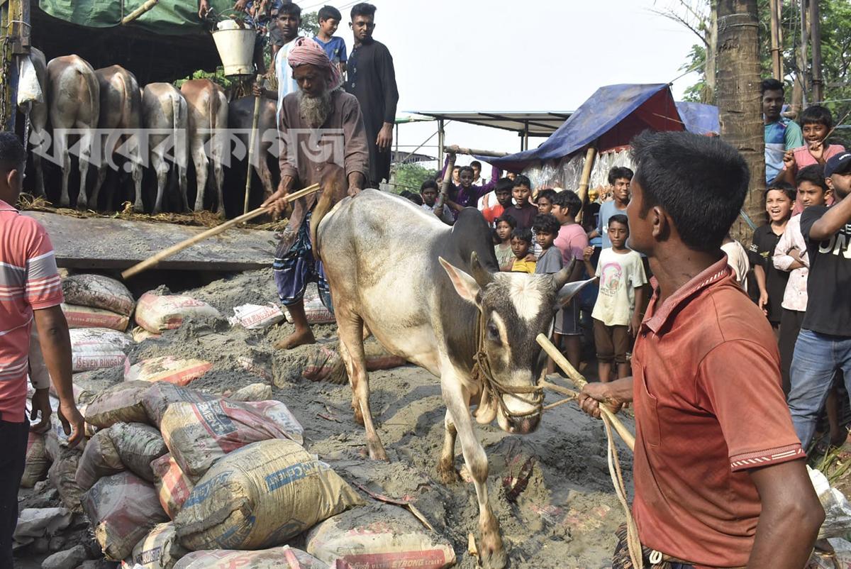 আজিমপুর